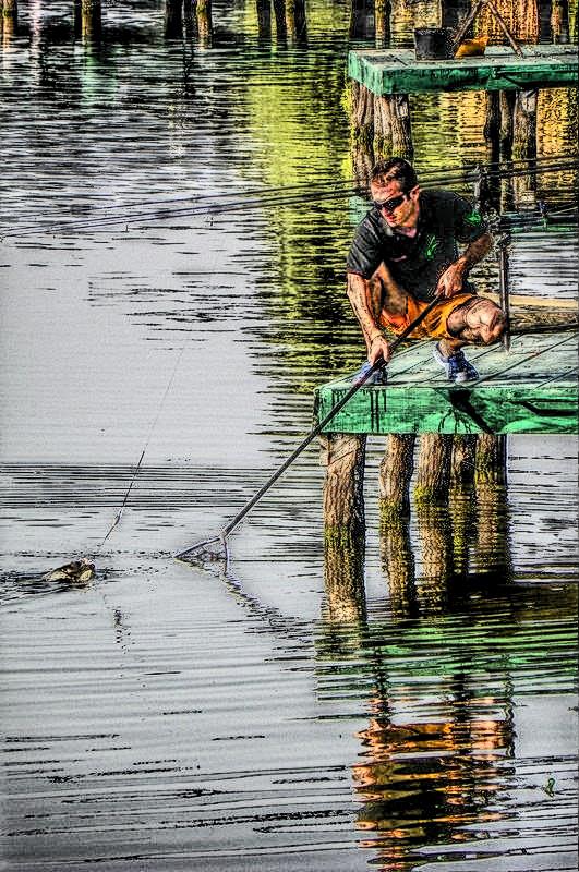 Cupa Verii MV2 - RB Baits - 2013 - 1016114hdrmode2.jpg